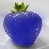 10 Samen African Blue / Blaue Erdbeeren